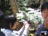 Shinkan08